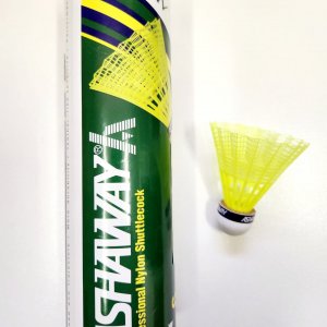 Shuttlecock